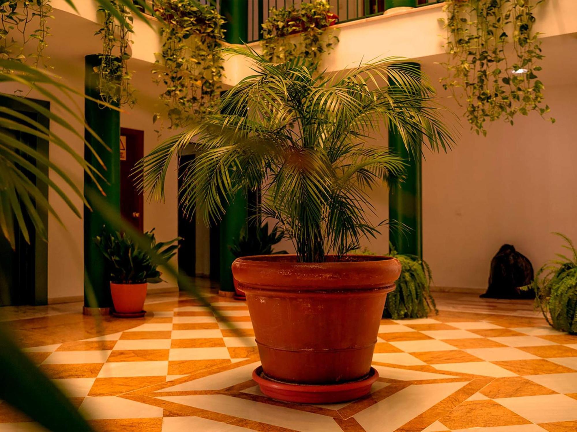 Apartamentos Vertice Bib Rambla Sevilla Bagian luar foto